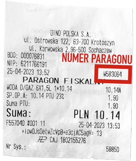 Paragon Dino